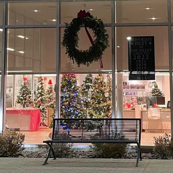 view from outside looking into a building's large windows with many decorated Christmas trees inside.